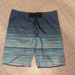 Boy Scouts Of America Blue Striped Board Shorts